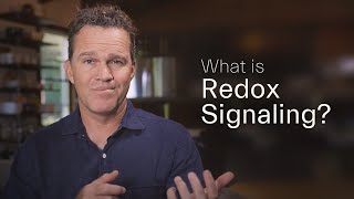 What is Redox Signaling? with Zach Bush MD - ION*