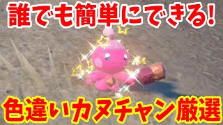 【ポケモンSV】もうすぐ終了！特別なカヌチャンの色違いを探しに行こう！色違いを見つけるコツまとめ【ポケモンスカーレットバイオレット・ゼロの秘宝】