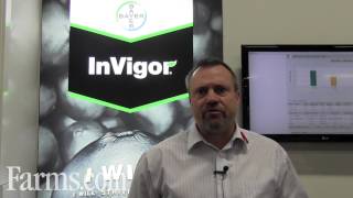 New Bayer CropScience InVigor L140P Pod Shatter Technology