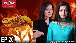 Jaltay Gulab | Episode 20 | TV One Drama | 29th November 2017