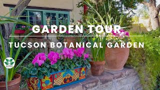 Inside Tucson's Hidden Oasis (Tucson Botanical Gardens)