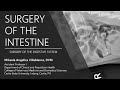 Lecture 8.1 Surgery of the Intestine