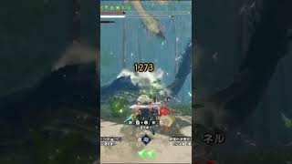 激しい縄張り争い♯2傀異怪異クエストEX★3リオレアvsナルガクルガ　チャージアックス（チャアク）【モンハン：モンスターハンターライズ：サンブレイク】【MHR：SB】switch版 #サンブレイク