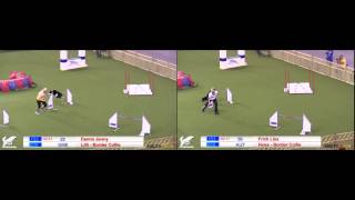 1st vs 2nd Place Individual Agility at the 2014 FCI Agility World