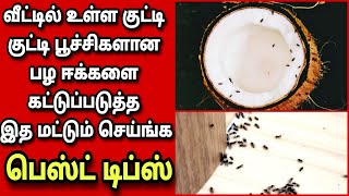 வீட்டில் உள்ள குட்டிகுட்டி பூச்சிகளுக்கு குட்பாய் சொல்லுங்க/பழ  ஈக்களை விரட்ட டிப்ஸ்/Fathu's Samayal