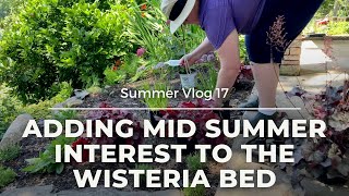 Adding Mid Summer Interest to the Wisteria Bed