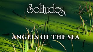 Dan Gibson’s Solitudes - Florida Dream | Angels of the Sea