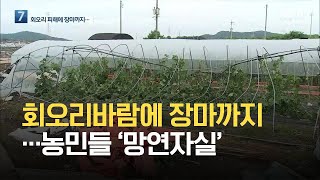 회오리바람에 장맛비 피해까지…농민들 ‘망연자실’ / KBS 2021.07.05.