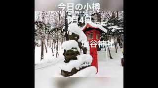 小樽で初詣。住吉神社と塩谷神社へ。凍った手水、ニシン型みくじが小樽らしい😊　#小樽