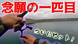 【日本釣り旅#2】旅出発から３日目、とうとう○○が釣れた！！