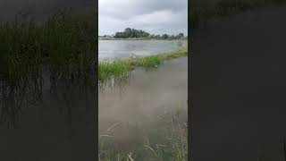 બોવ વરસાદ પડ્યો છે ને પાણી આવુ 🌧️🌊 ખેતર દુબેગા 😌