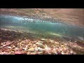 【🐟渓流水中魚動画】源流域清流に棲む魚