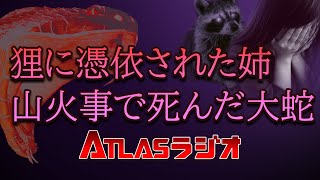 ATLASラジオ2nd 46 愛媛の怖い話、狸に憑依された姉、山火事で死んだ大蛇