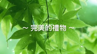 靈修旅程第1726天  完美的禮物 經文：羅馬書11:33-12:2