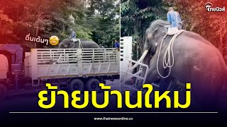 ซ้อมขนย้ายพลายศักดิ์สุรินทร์ครั้งสุดท้ายไปอยู่บ้านหลังใหม่| Thainews - ไทยนิวส์