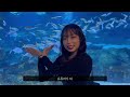 vlog 아쿠아리움 데이트 🐠🐟🐡💙🩵 강남 코엑스