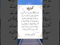 Urdu Quotes Shorts||Urdu Quotes||Shorts Video||Islamic Quotes||Urdu Poetry||Viral