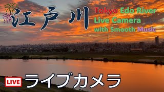 2024.11.1_江戸川ライブカメラ（東京方面）BGMあり／Tokyo View from Edogawa, Live Camera Stream with Music