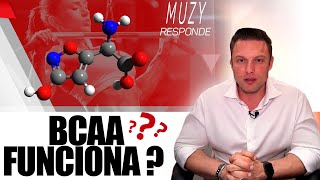 BCAA FUNCIONA OU NÃO?  | MUZY RESPONDE