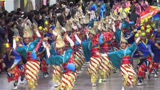 いなん　　2015龍馬生誕祭帯屋町筋会場　2015 11 15