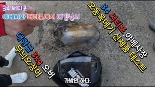 써티포 34 오동목에기 실전테스트             써티포 34 야베사장과 대마도에서 대형급 무늬오징어 에기를 완전히 먹다