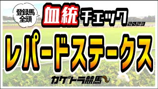 【レパードS2023】最後の直線の激アツ目指して！穴馬のプラス血統、人気馬のマイナス血統、全頭血統チェック！高評価5頭！