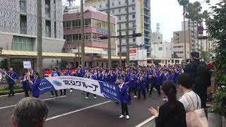 2019 宮崎市 えれこっちゃ 祭り