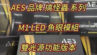 台中視覺潮流專業車燈精品 AES 品牌 搞怪蟲系列M1 雙光源LED魚眼模組視頻拍攝效果