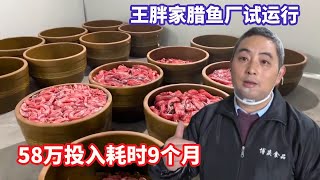 The trial operation of Wang Pang's cured fish factory took 9 months to put into 580000. Let's see w