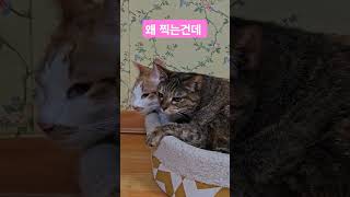 왜 찍는건데 #문우택 #웃음치료사