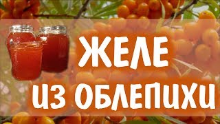 Желе из облепихи. Полезнейшая вкуснятина