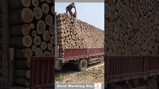 Hard Working Day #122 The Process Of Cutting Timber And Leveling It With