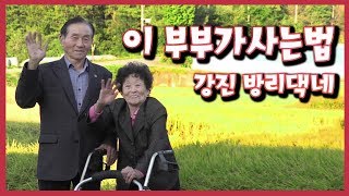 [ENG SUB-남도지오그래피] 이 부부가 사는법(how this couple lives) - 강진 방리댁네 191014 by KBS광주