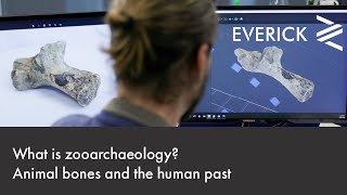 What is zooarchaeology? Animal bones and the human past.