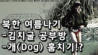 [최성국의 북한그림판] 15회 '북한의 여름 나기 - 김치굴에서 공부하기, 개(Dog) 훔치기' 편  #웹툰 #로동심문