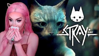 Stray Gameplay - NEW PS5 Cat Game PlayStation Plus Extra (Stream Replay, Part 1)
