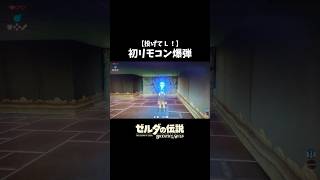 【ブレワイ実況】初めてのリモコン爆弾で予想通りの死に方をしてしまうw＃ゼルダの伝説＃ブレワイ＃ブレスオブザワイルド＃リモコン爆弾