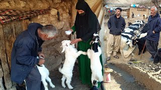 Nomadic village life in Zagros, Iran: rich culture and pristine nature