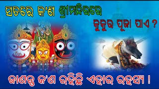 Story Of Jagannath ❖ ସତରେ କଣ ଶ୍ରୀମନ୍ଦିରରେ କୁକୁର ପୂଜା ପାଏ  ? ❖ Jay Jagannath ❖ Odia Superhit Bhajan