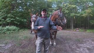 DRAFT HORSES: How I Adjust My Lines (Part 1)