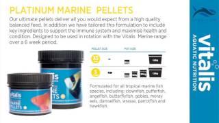 Vitalis Aquatic Nutrition