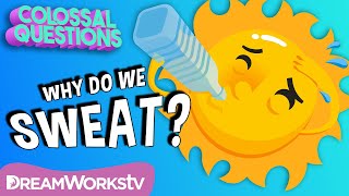 Why Do We Sweat? | COLOSSAL QUESTIONS