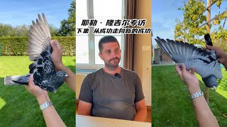 【耶勒·隆吉尔专访/陈凌霄】 🇧🇪冠军鸽舍的建立〈理念篇②〉