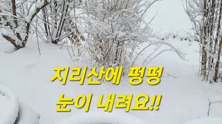 지리산 신바람 tv   지리산에 펑펑 눈이 내려요!!