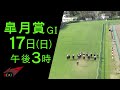 三冠ロード開幕！g i王者vs無敗の才能vsキタサンの遺伝子【皐月賞 gⅠ 17日 日 午後3時】