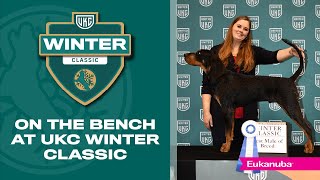 On the Bench at UKC Winter Classic