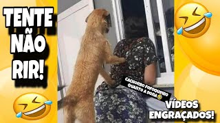 TENTE NÃO RIR: OS MELHORES VÍDEOS E MEMES DA INTERNET (EP.32) #memes #status #tiktok