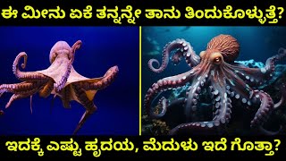 ಈ ಮೀನು ಏಕೆ ತನ್ನನ್ನೇ ತಾನು ತಿಂದುಕೊಳ್ಳುತ್ತೆ? ಇದು ಎಷ್ಟು ಹೃದಯ ಮತ್ತು ಮೆದುಳನ್ನು ಹೊಂದಿದೆ ಗೊತ್ತಾ? Octopus