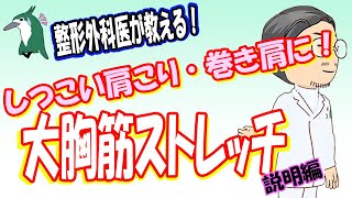 【整形外科医が教える！】しつこい肩こり・巻き肩の改善に！　大胸筋ストレッチ