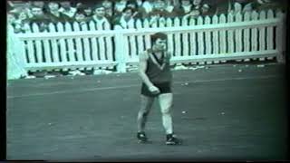 1973 State game Victoria 21.13 139 d South Australia 20.15 135